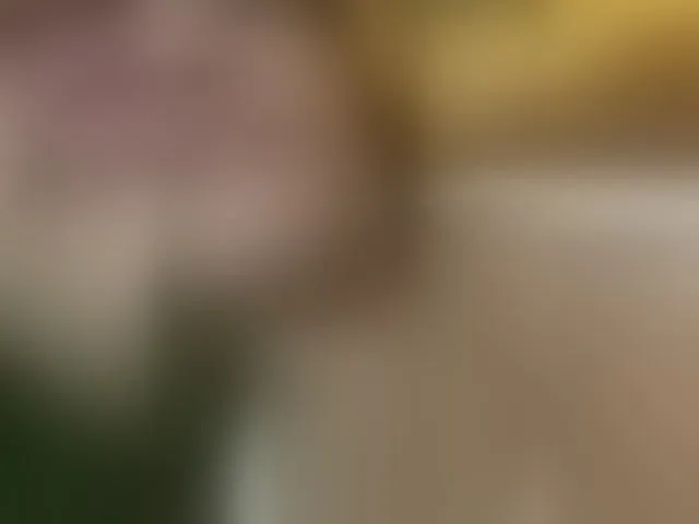 Live sex webcam photo for Asiankitties #293122359
