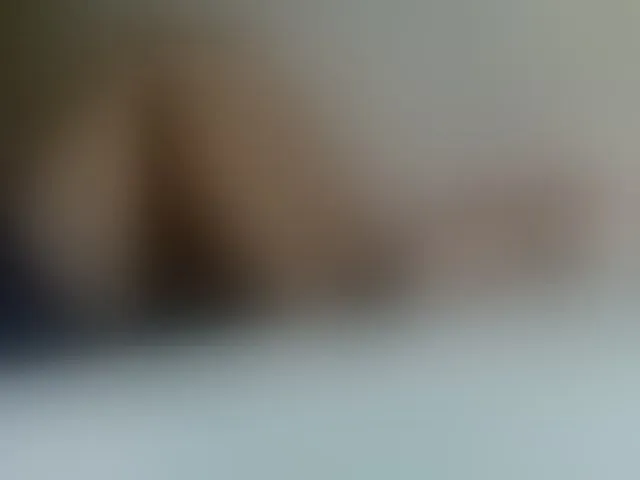 Live sex webcam photo for Asiankitties #293285752