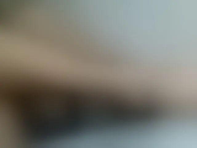 Live sex webcam photo for Asiankitties #293369379