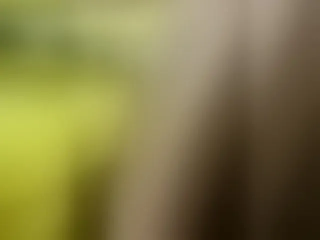 Live sex webcam photo for Asiankitties #293480117