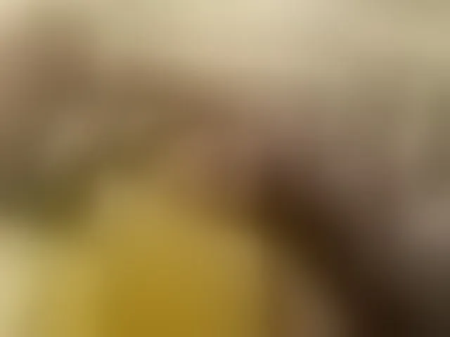 Live sex webcam photo for Asiankitties #293486363