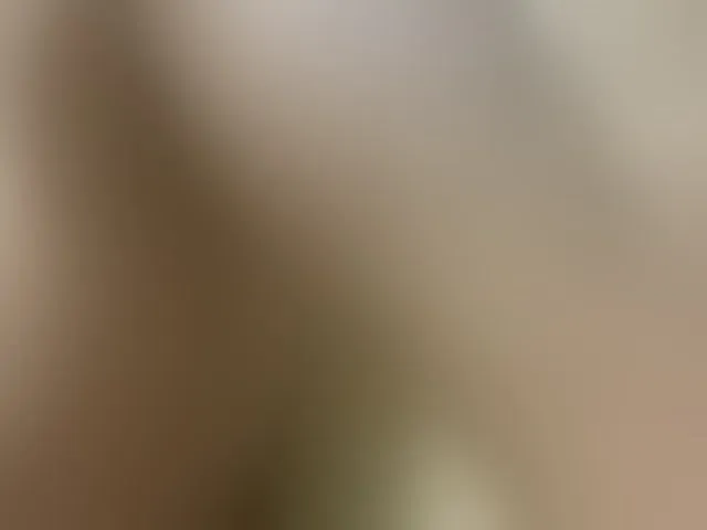Live sex webcam photo for Asiankitties #293810182