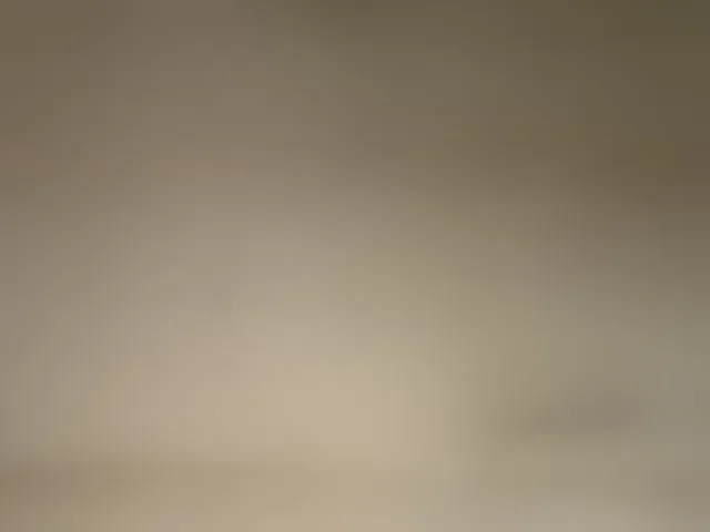 Live sex webcam photo for Asiankitties #294062897