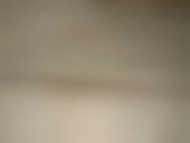 Live sex webcam photo for Asiankitties #294066840