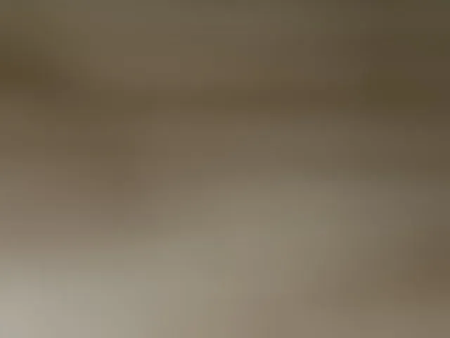 Live sex webcam photo for Asiankitties #294090792