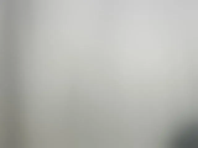 Live sex webcam photo for Asiankitties #294111344