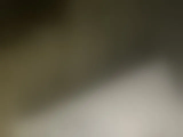 Live sex webcam photo for Asiankitties #294146934