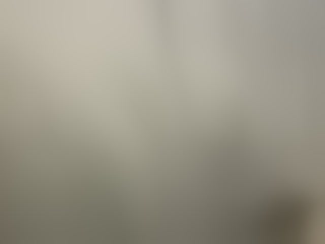 Live sex webcam photo for Asiankitties #294242453