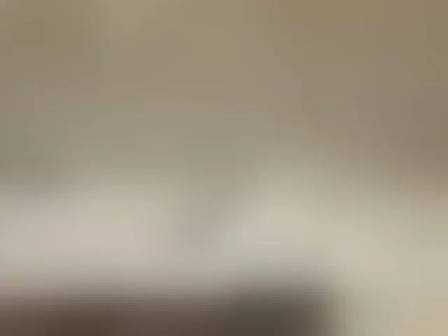 Live sex webcam photo for Asiankitties #294250613