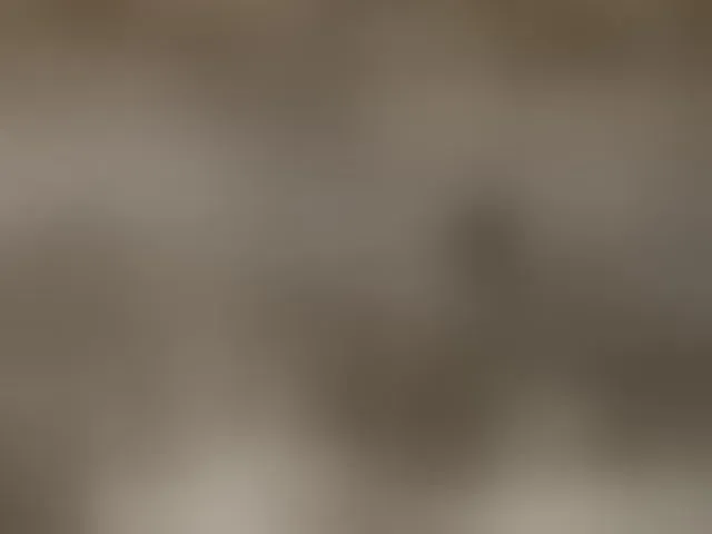 Live sex webcam photo for Asiankitties #294266097