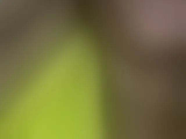 Live sex webcam photo for Asiankitties #294337685