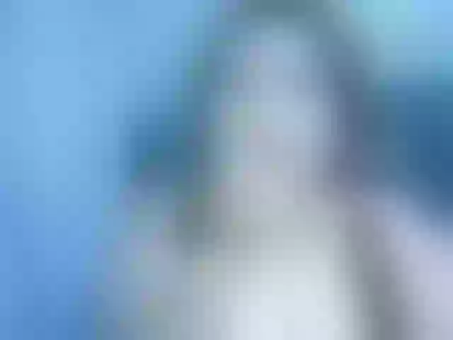 Live sex webcam photo for Asianlyn #272149792