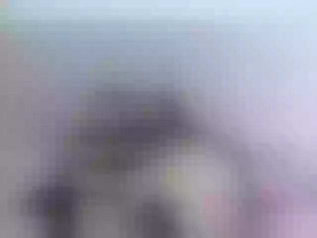 Live sex webcam photo for AslheyRobert #290387133