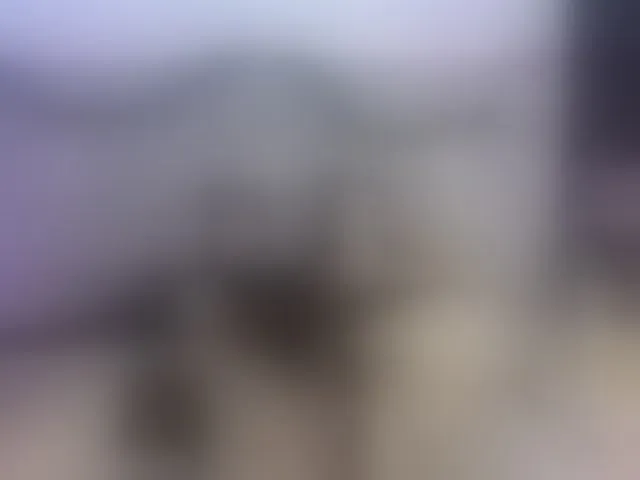 Live sex webcam photo for AslheyRobert #292564857