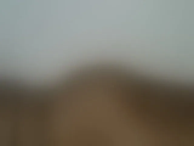 Live sex webcam photo for AssBosset #293173677