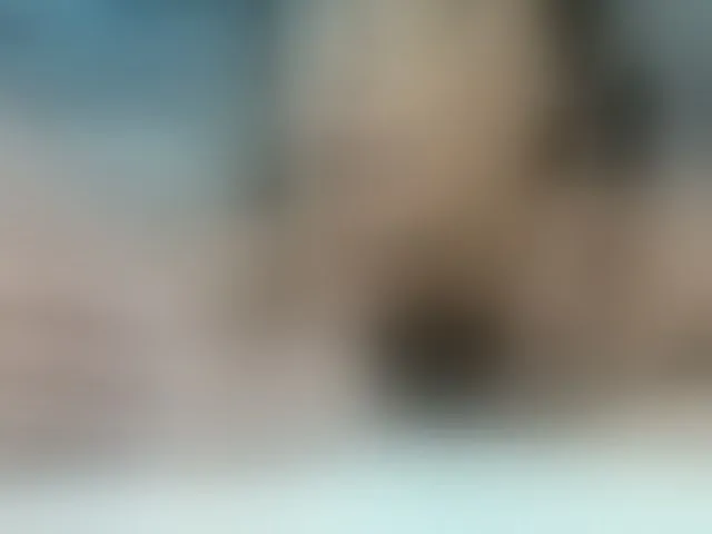 Live sex webcam photo for AstridVex #294015710