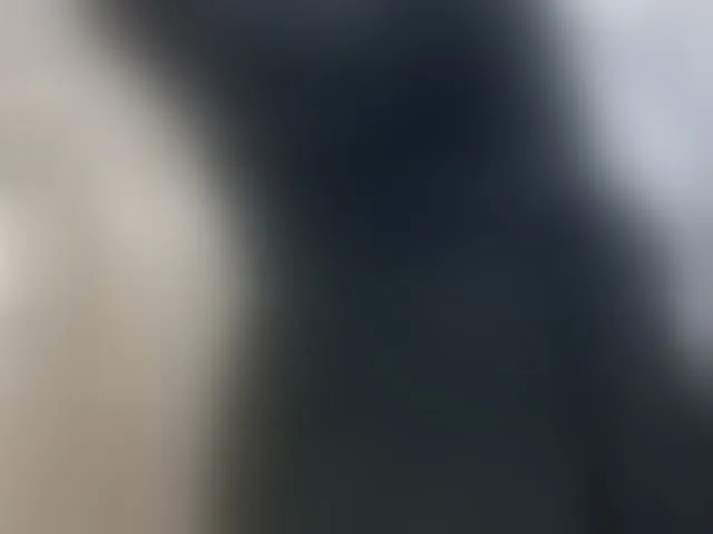 Live sex webcam photo for Ataliahh #293332742