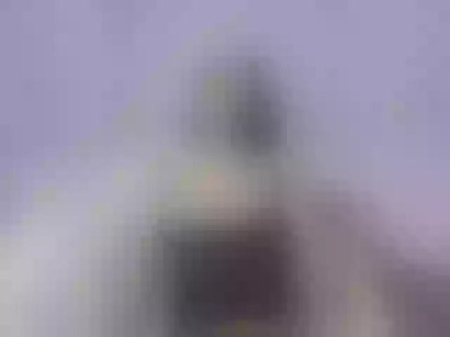 Live sex webcam photo for Atlanta-Hunt #275657446