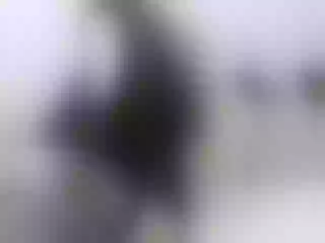 Live sex webcam photo for AudreyDaisy #276518041