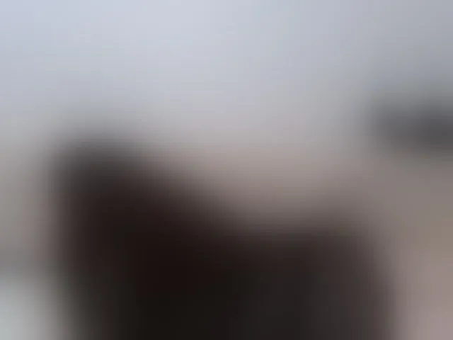 Live sex webcam photo for AudreyDaisy #292784329