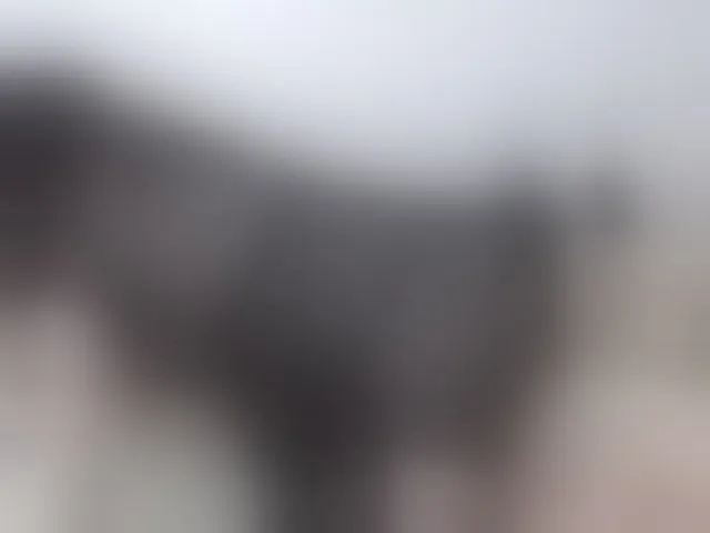 Live sex webcam photo for AudreyDaisy #293761969