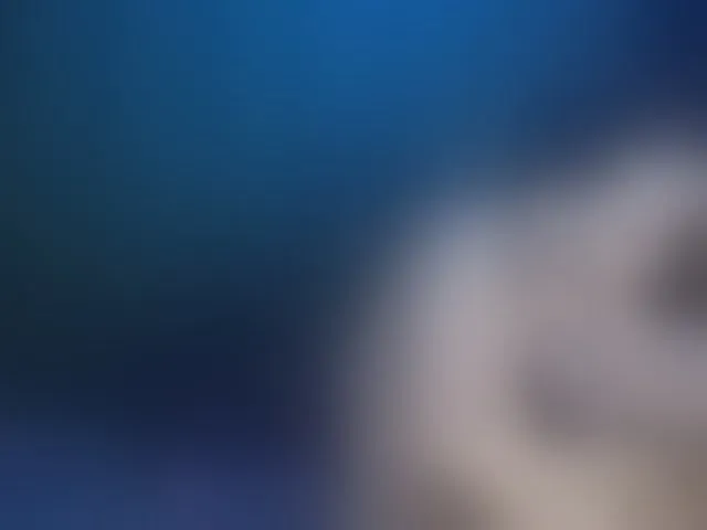 Live sex webcam photo for AuroraGoddess #293846896