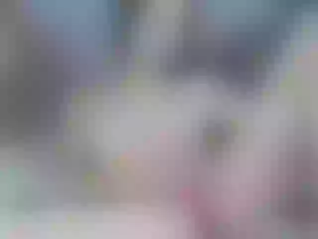 Live sex webcam photo for AvaPark #275979141