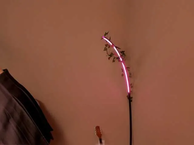 Live sex webcam photo for AvelinKkk #277293143