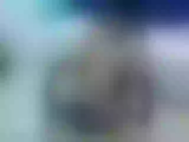 Live sex webcam photo for Axel-Roous #275986405