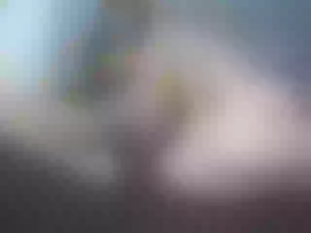 Live sex webcam photo for Axel-n-Alexia #275470624