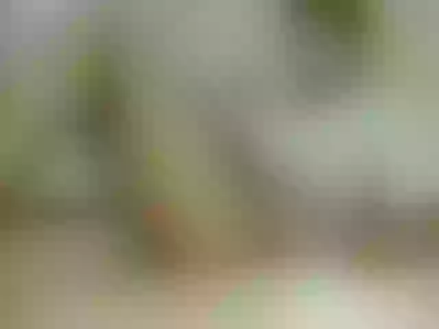 Live sex webcam photo for Axel-tay #291270678