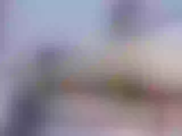Live sex webcam photo for Axel-tay #291485361
