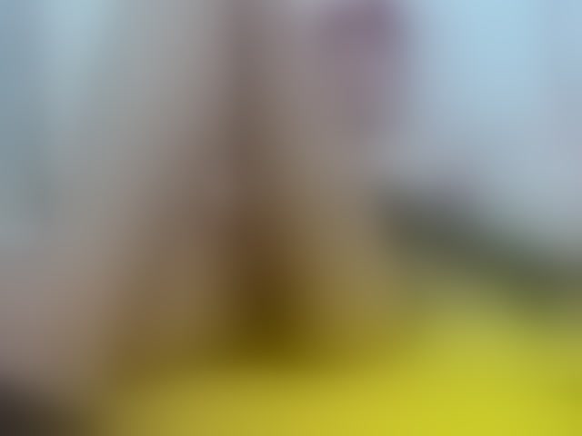 Live sex webcam photo for Axel-tay #292652668