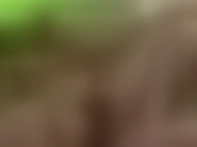 Live sex webcam photo for AxelFairchaild #293602965