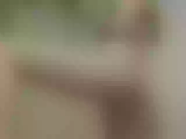 Live sex webcam photo for Aya888 #271982544