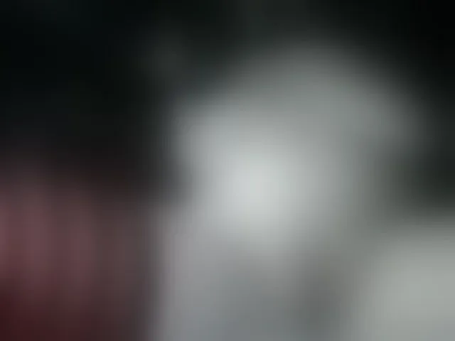 Live sex webcam photo for Azulhad4 #293091142