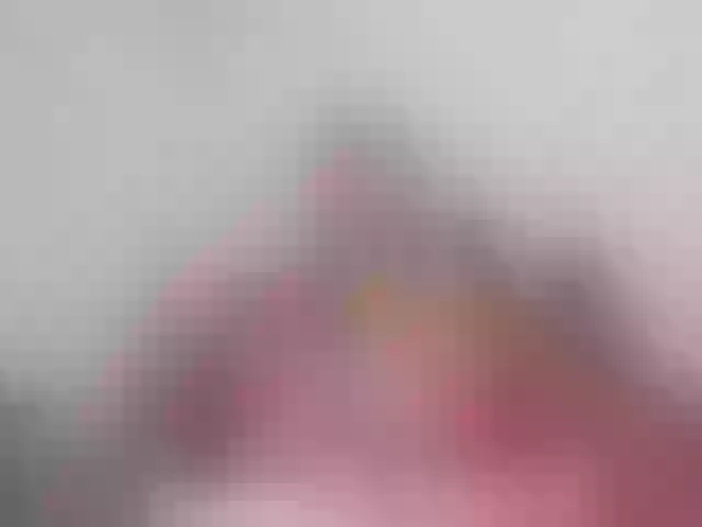 Live sex webcam photo for BESTija-1 #292355014