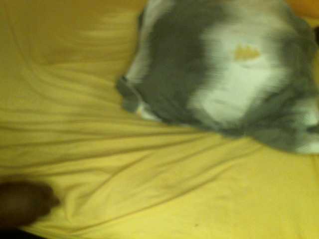 Live sex webcam photo for BLACKQUEEN344 #290558886