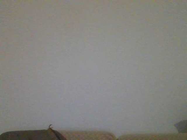 Live sex webcam photo for BLUEKNIGHT777 #275656453