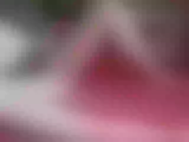 Live sex webcam photo for BONNY-N #272280727