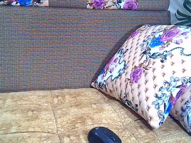 Live sex webcam photo for BOROPLUS88 #276004361