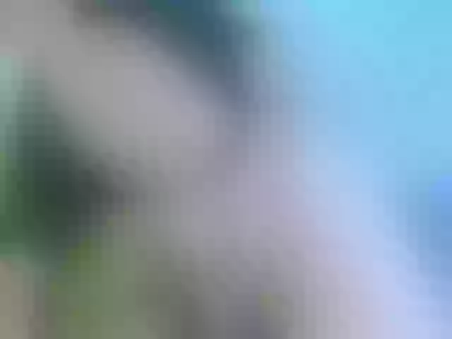 Live sex webcam photo for BRAYANCOOPER #275724181