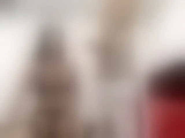 Live sex webcam photo for BRENDA-BIG-COCK #294187313