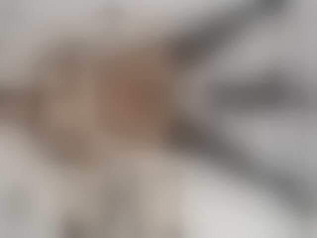 Live sex webcam photo for BROWN-SUGGAR #294176997