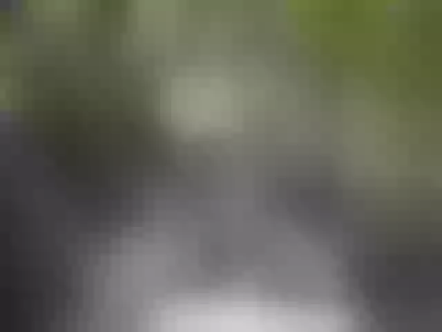 Live sex webcam photo for BUSINKA-25 #291056960