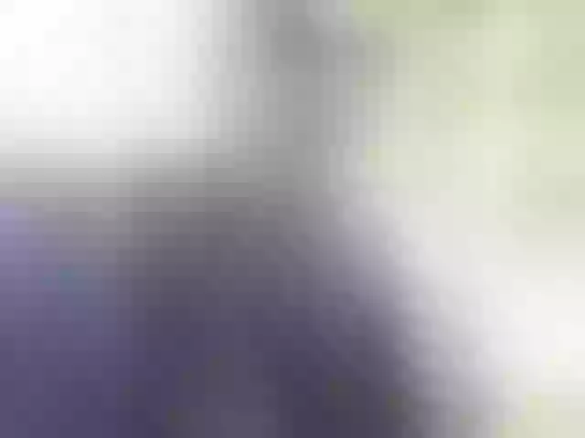 Live sex webcam photo for BUSINKA-25 #291953938