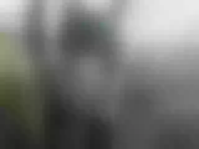 Live sex webcam photo for BUSINKA-25 #292182218