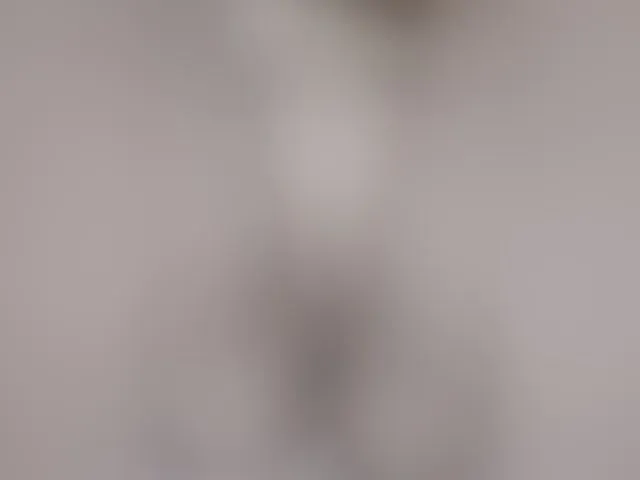 Live sex webcam photo for BabyKirochka #293828583