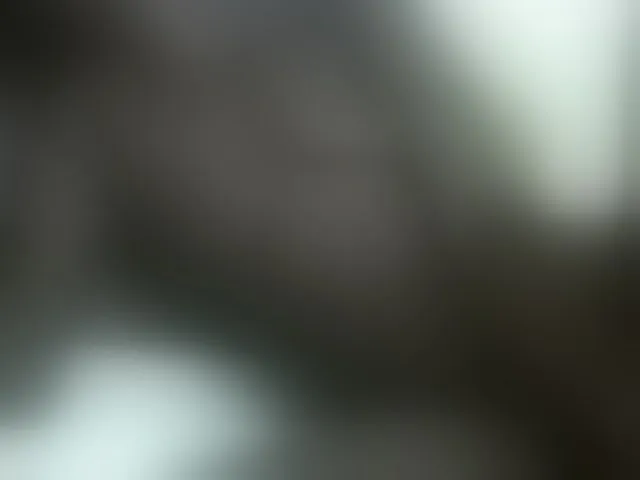 Live sex webcam photo for Babyslim #290635317