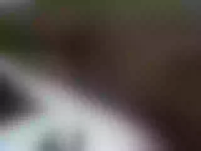 Live sex webcam photo for Babyslim #290638691